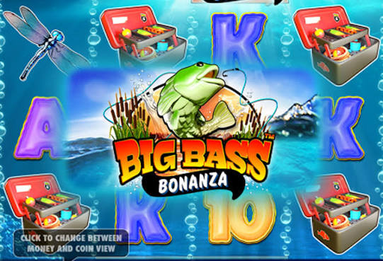 Bewertung von Large Bass Treasure Trove